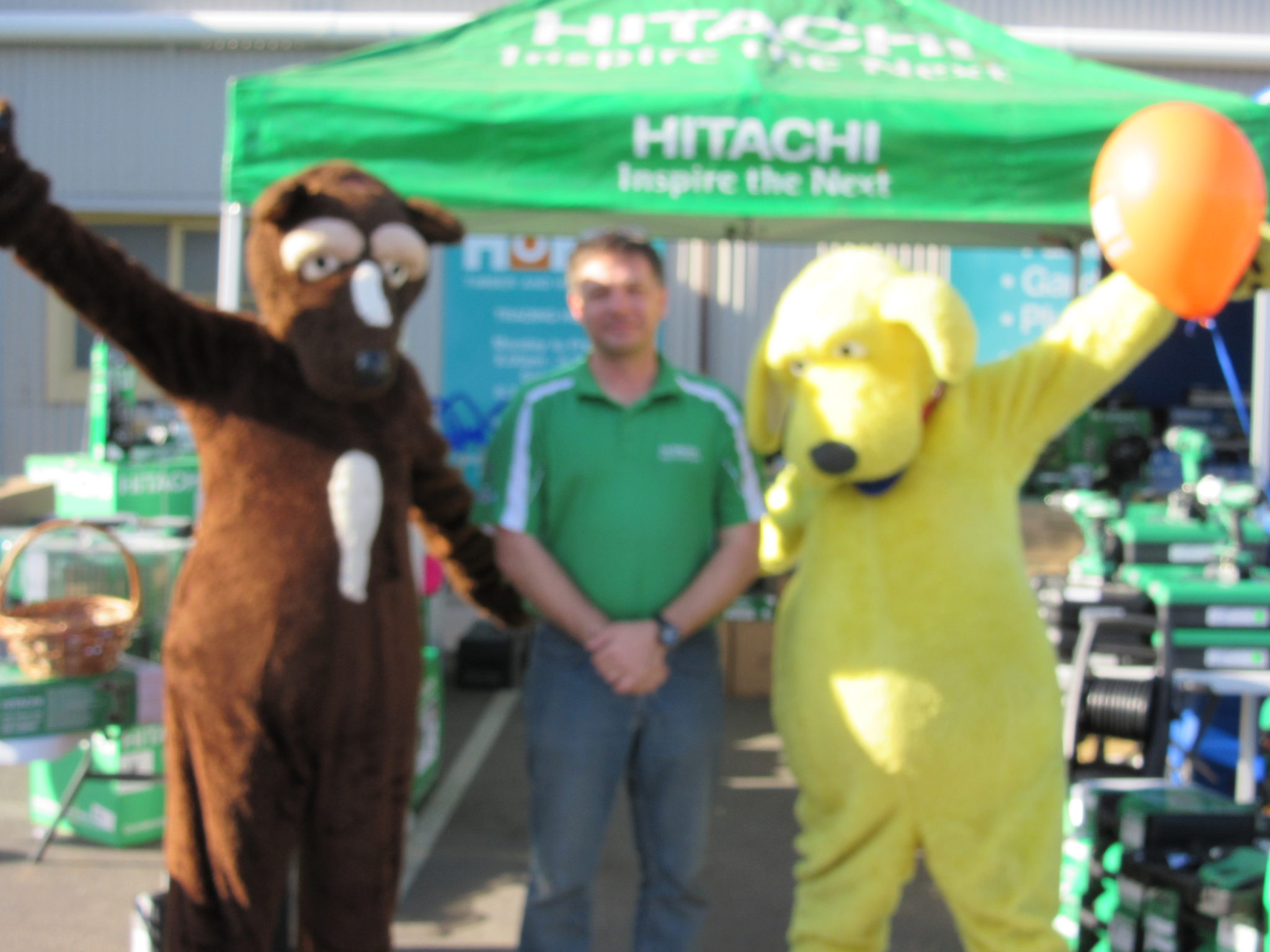 Globe Home Timber & Hardware Gallery Sales Events